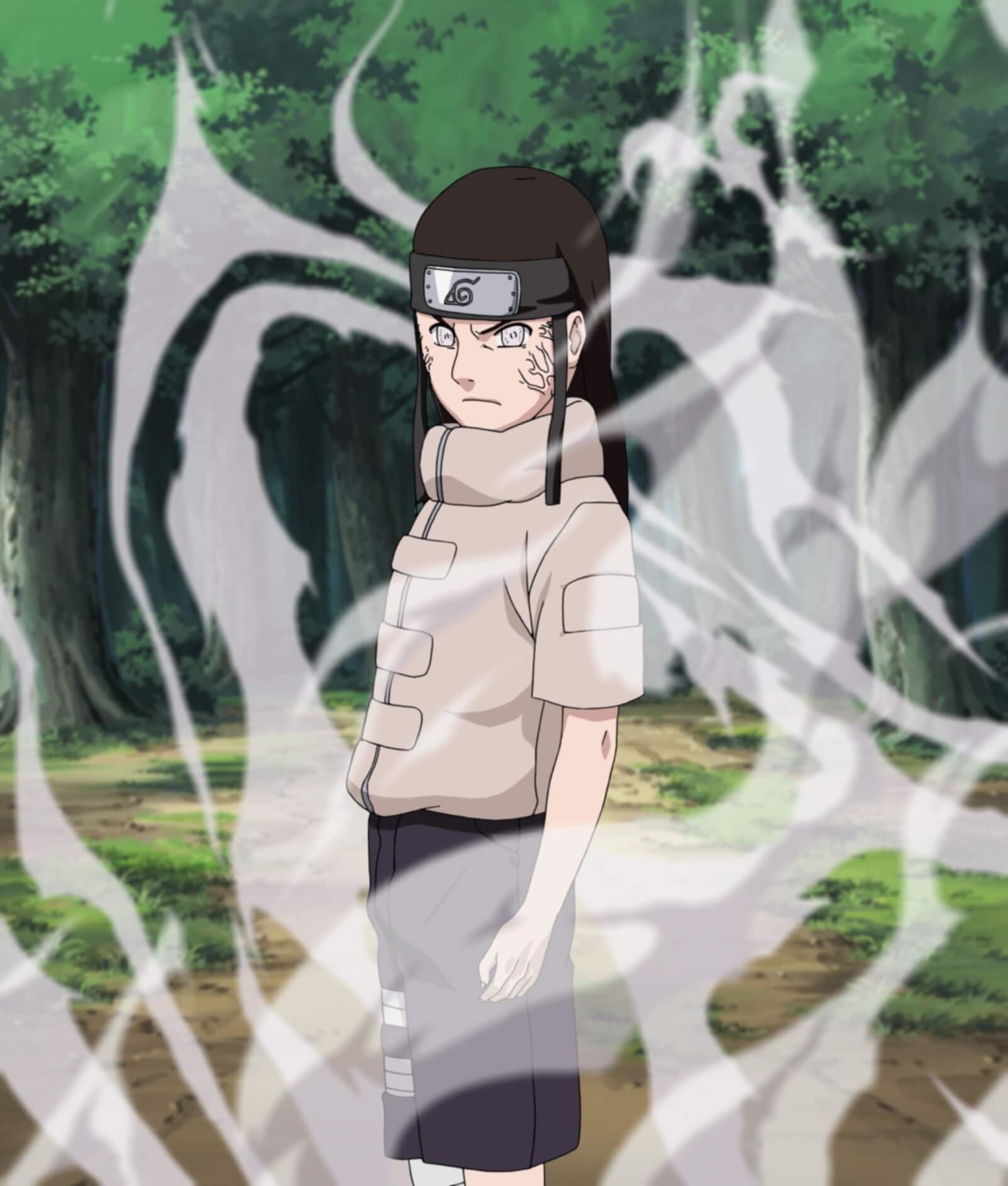 Naruto Shippuden Neji And Tenten