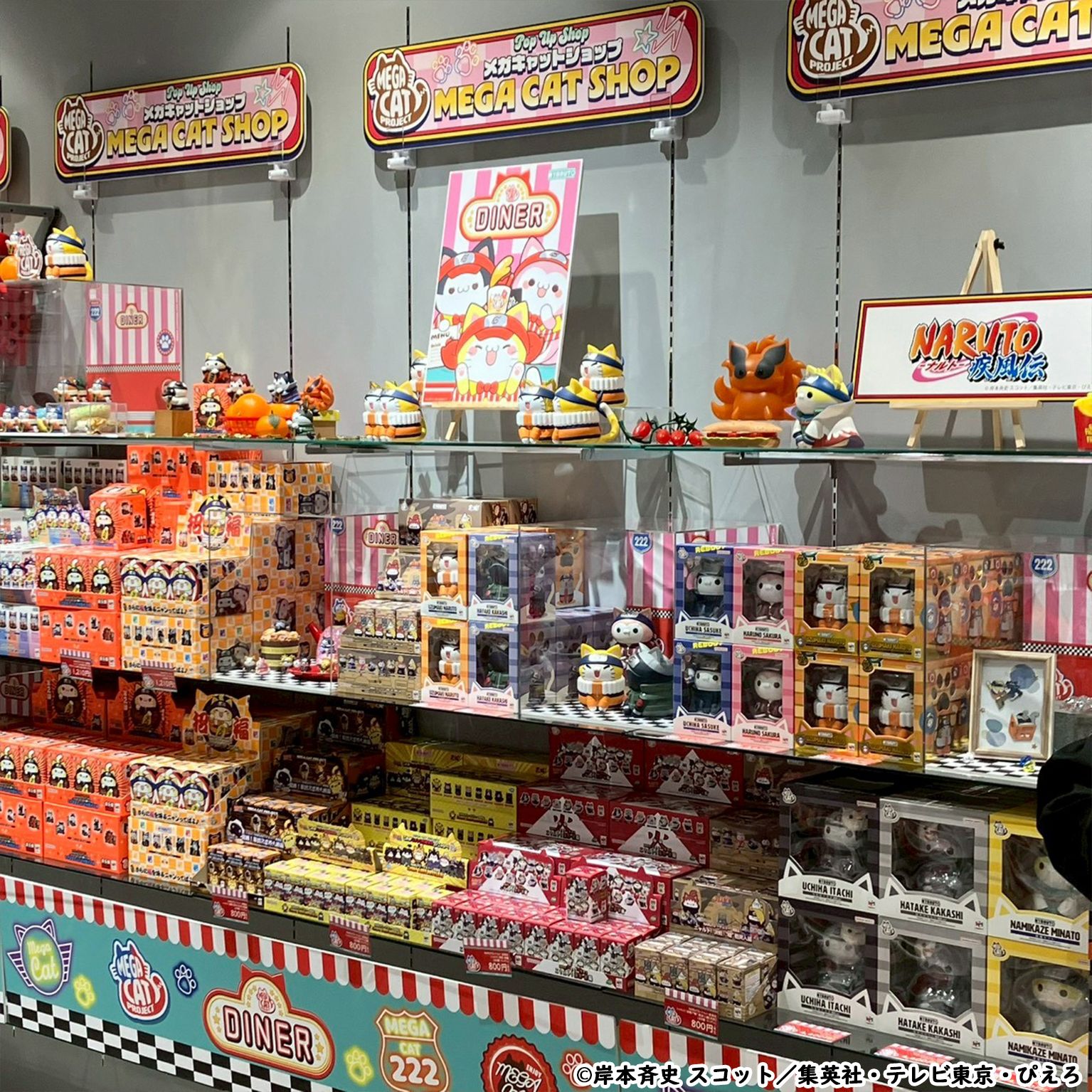 メガハウス】MEGA CAT SHOPin心斎橋 1月7日(水)まで開催中！販売商品や