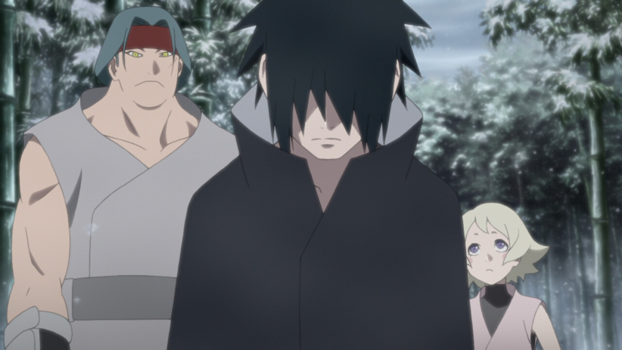 Naruto Shippuden: Season 17 Naruto Shippuden, Sasuke's Story